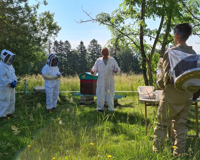 Spa des Abeilles- Santé par les abeilles - Apithérapie - Lausanne- Suisse - Activités - Nuit magique - Ateliers - Groupe