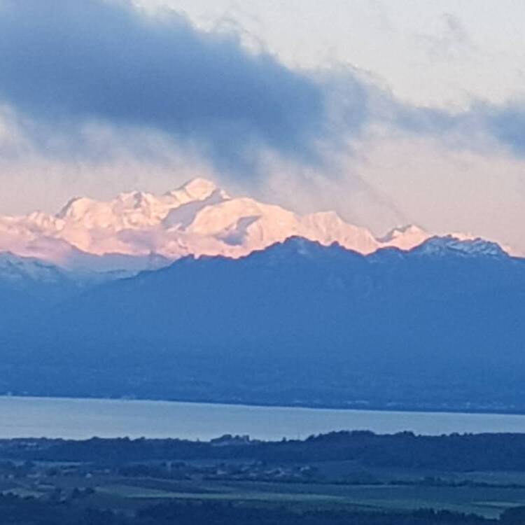 Vue - SPA des abeilles - Chambres d'hôtes - Apiculture - Apitherapie - Vaud - La Coudre - Lausanne - Suisse