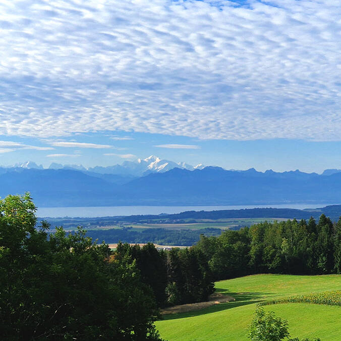 SPA des abeilles - Chambres d'hôtes - Apiculture - Apitherapie - Vaud - La Coudre - Lausanne - Suisse